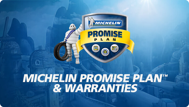 Michelin Promise Plan
