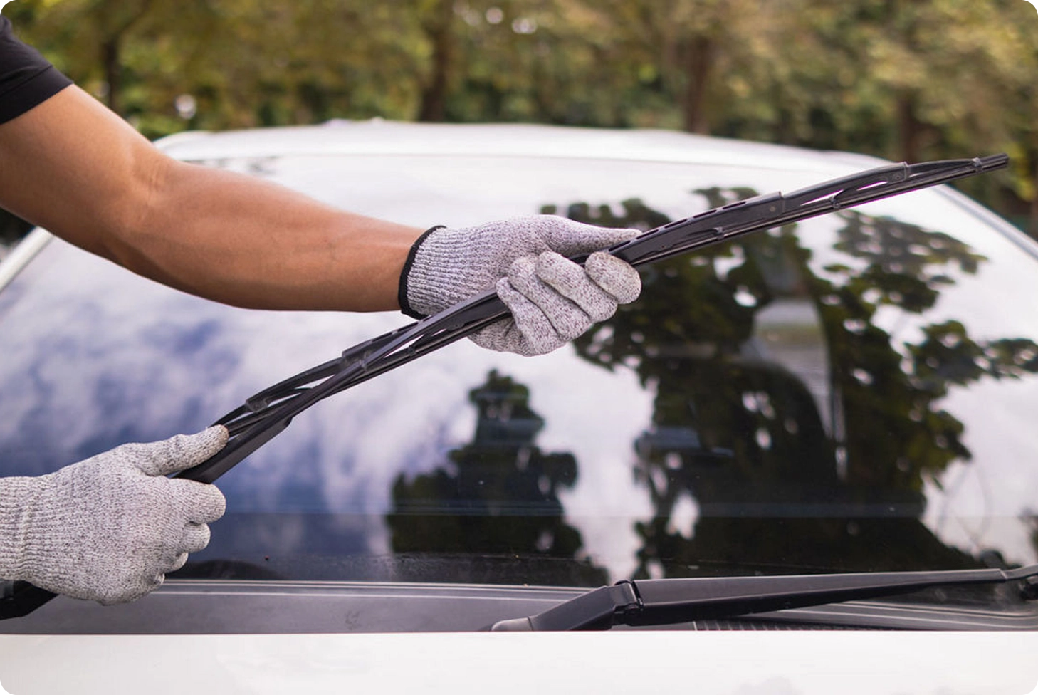 Professional Worker Replacing Wiper Blades