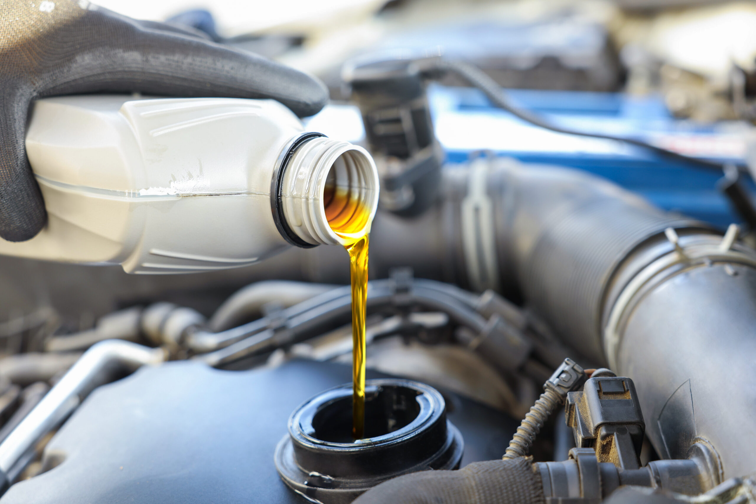 Oil Change and Lube